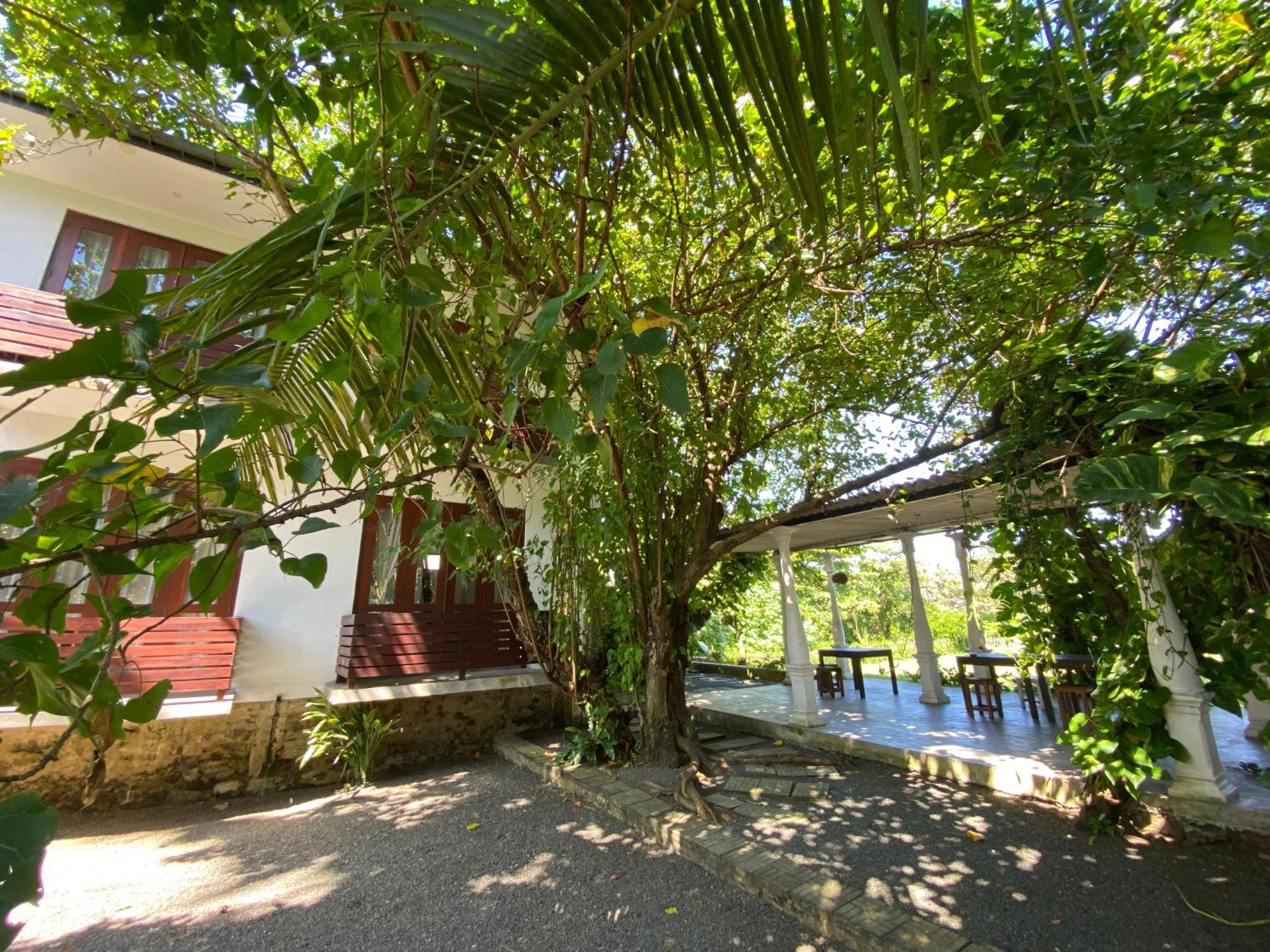 Lake House Hikka Hikkaduwa Bagian luar foto